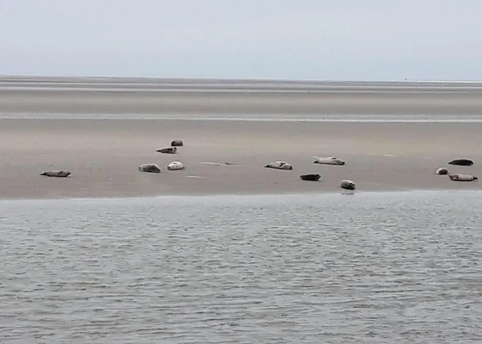 Mer Et Campagne